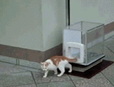 【问答】12万求推荐一辆质量稳定、保养省心的小车