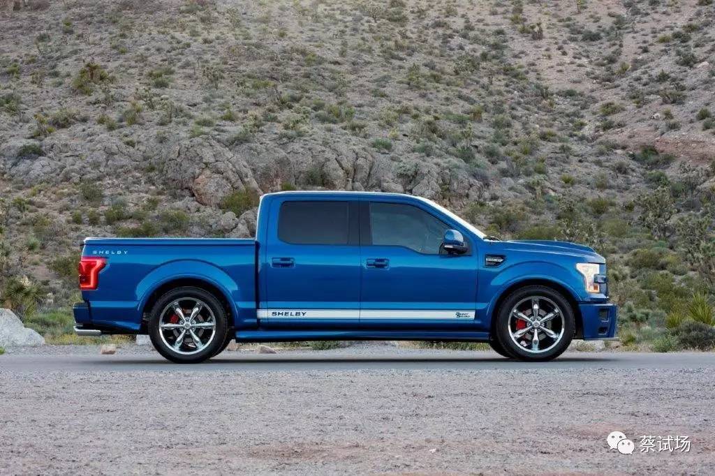 头条：最毒不是妇人心，是Shelby超级蛇