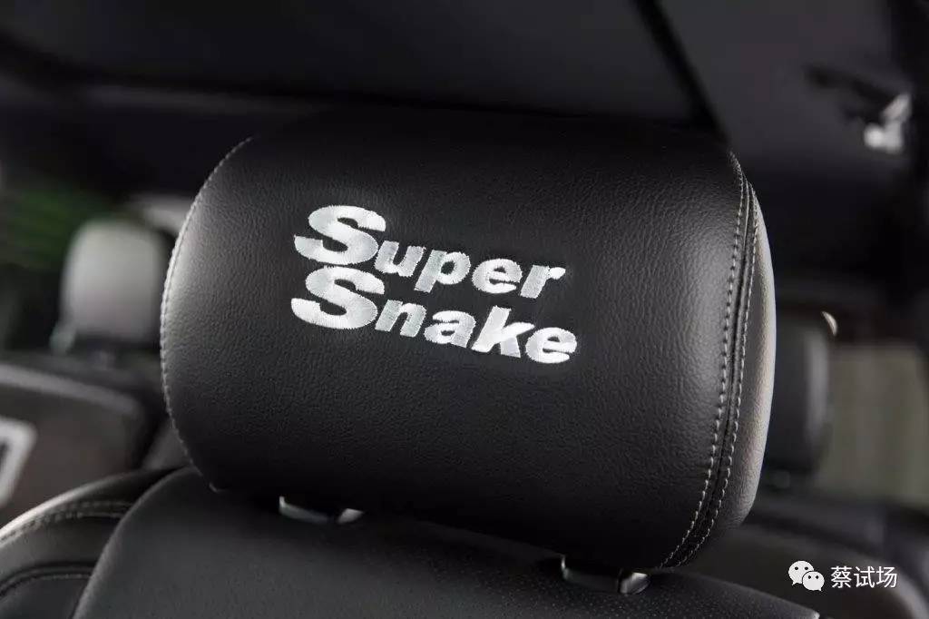 头条：最毒不是妇人心，是Shelby超级蛇