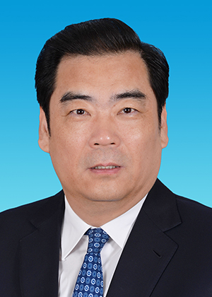 中共天津市第十一届委员会常委简历