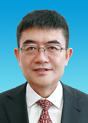 中共天津市第十一届委员会常委简历