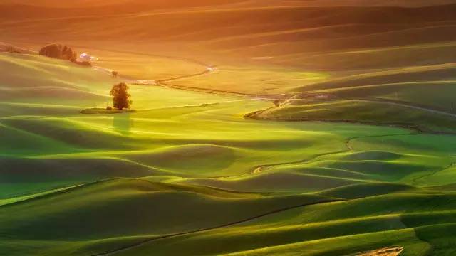 徐志摩最美十首诗!