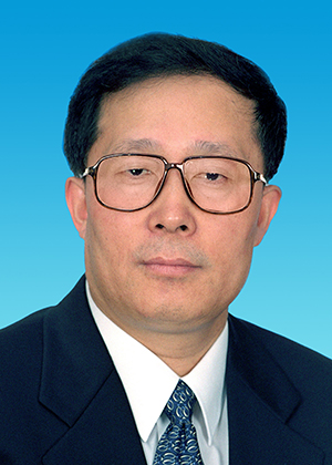 中共天津市第十一届委员会常委简历