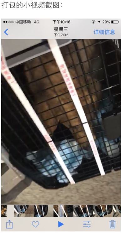 打包的小视频截图。 图片来源于微博网友@HUST_维维豆奶