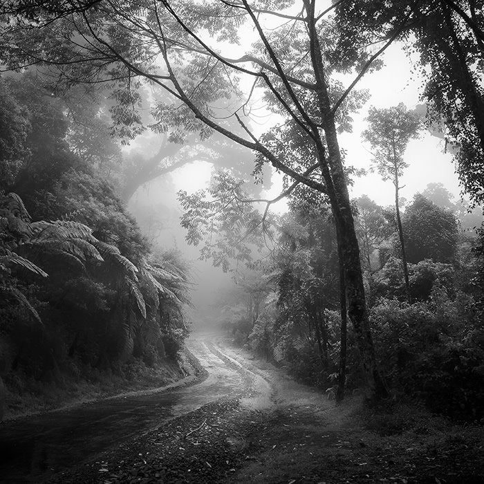 拒绝色彩 黑白照一样可以拍摄风景片