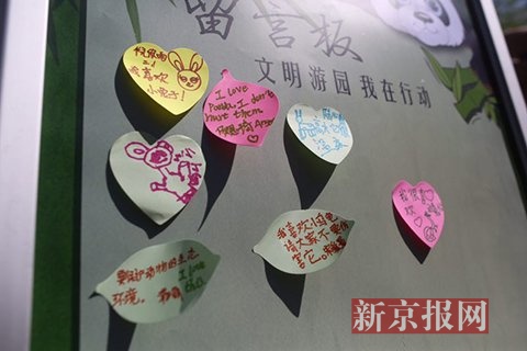 北京动物园开展"六一"科普活动