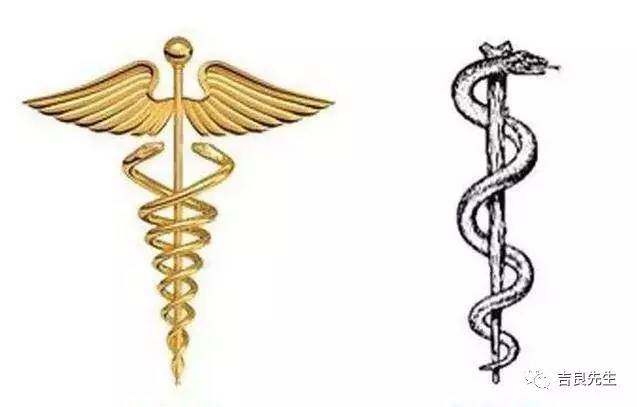 不过无论是哪一把灵蛇权杖,上面盘绕的蛇都代表着智慧.