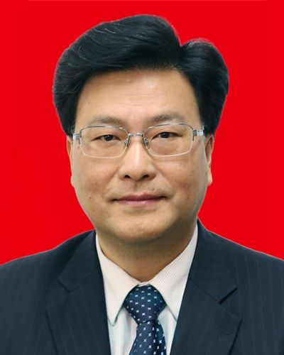 王炯任河南省委副书记图简历