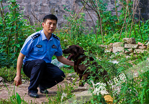 【两学一做 重庆好警察】破案能手冉义智:3年带队破