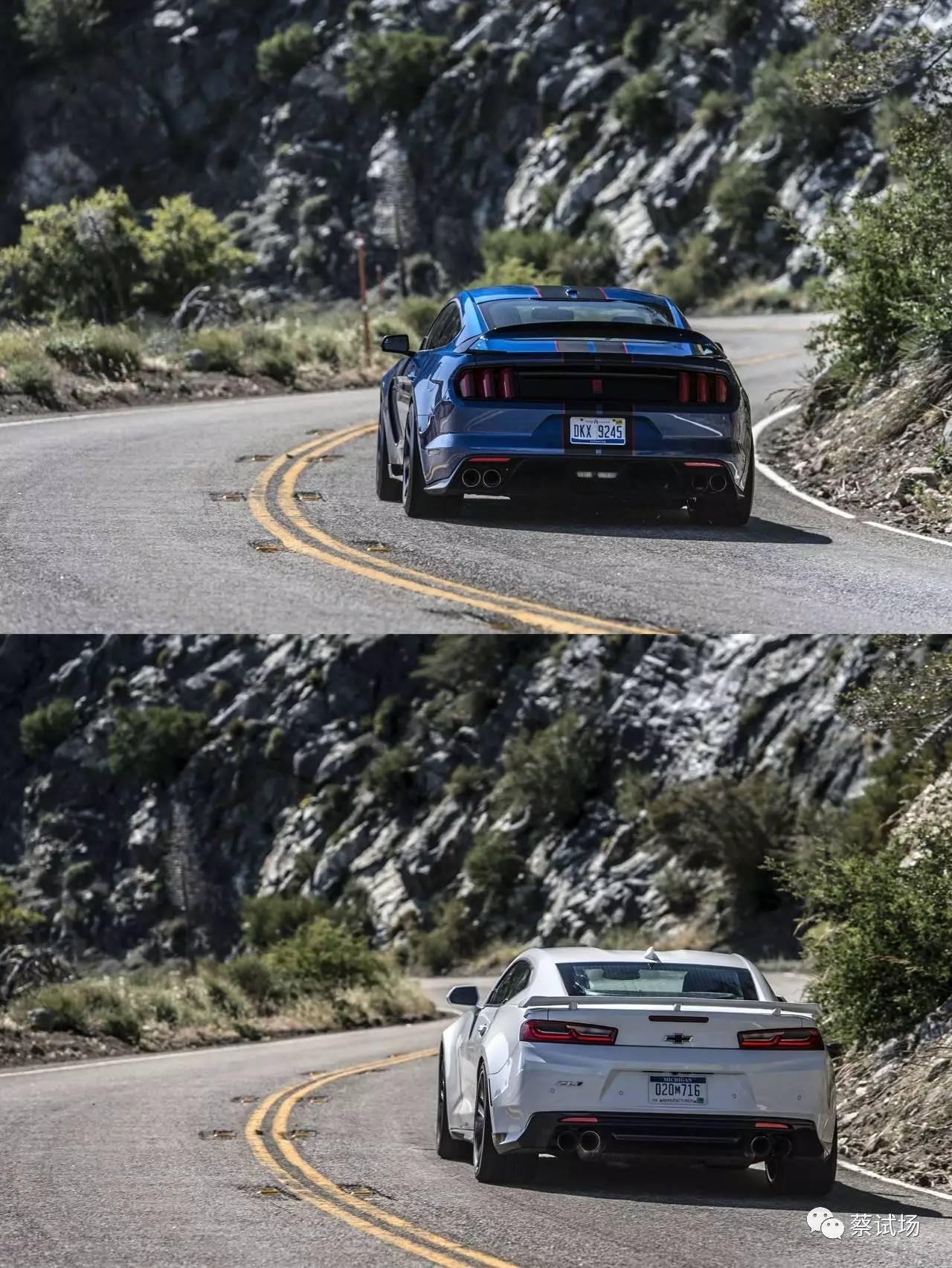 图集：本田思域Si简史等