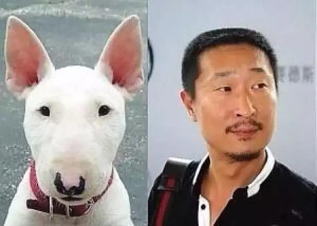 自己撞还不够,林永健的儿子大俊也被网友指出撞脸泰迪,不过这个明显比