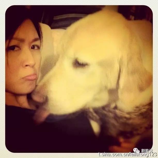 猝不及防她就离婚了&hellip;&hellip;网友：我都不知道她结婚了