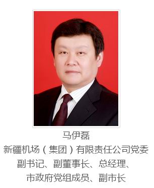 马伊磊任乌鲁木齐市副市长图简历