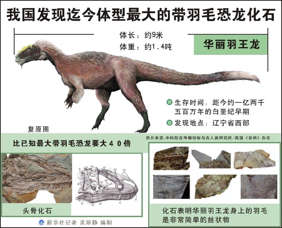 這種進化觀點也被虛骨龍類的化石所驗證.