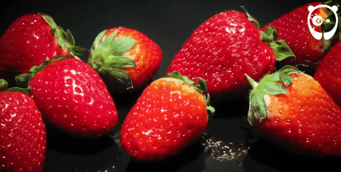 但一旦表皮有破损,这些微生物就会迅速进入水果潮湿的内部,然后快速