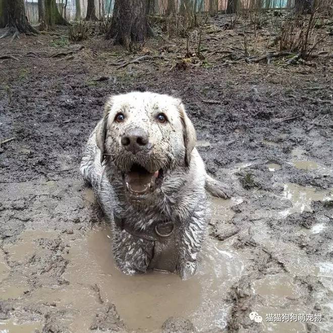 玩泥巴这么爽的事情你们永远不懂