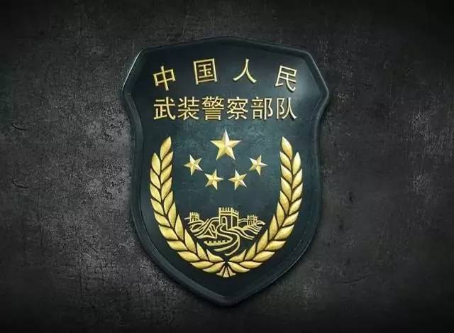 燃!你是这样的中国武警