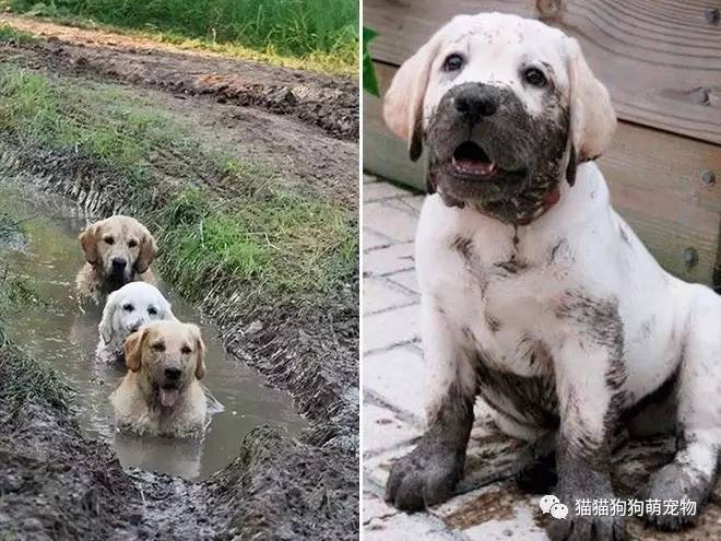 玩泥巴这么爽的事情你们永远不懂