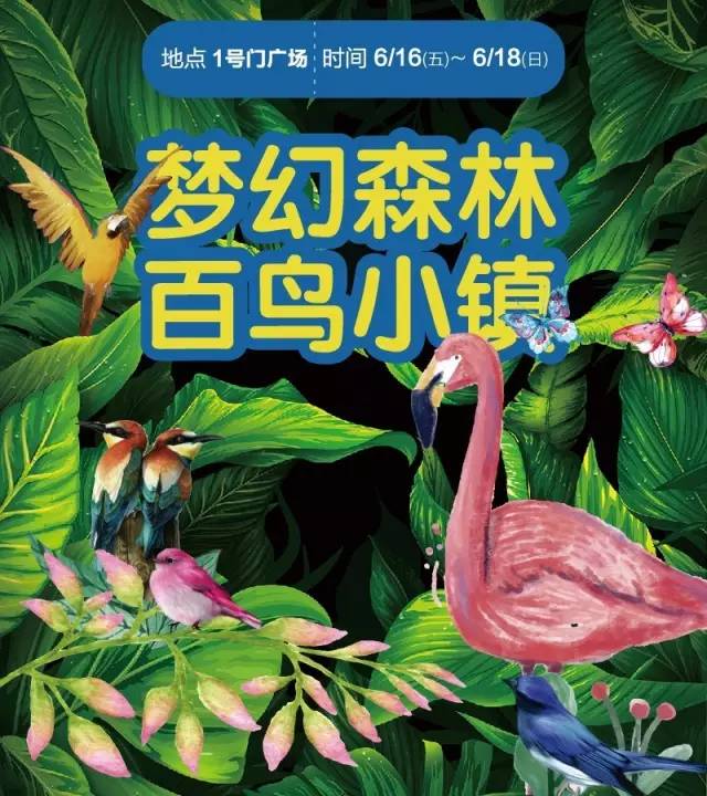 丛林将梦幻一气呵成这里是童话世界来吧,带你穿越,带你体验森林小剧场