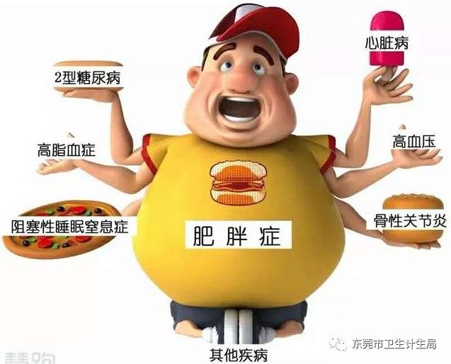 减肥|脂肪|体重_新浪新闻