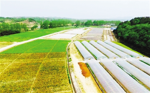 乐竞全站app登录app瓦格纳成热门人选！纳格尔斯曼期盼他接连留队执教(r.瓦格纳)