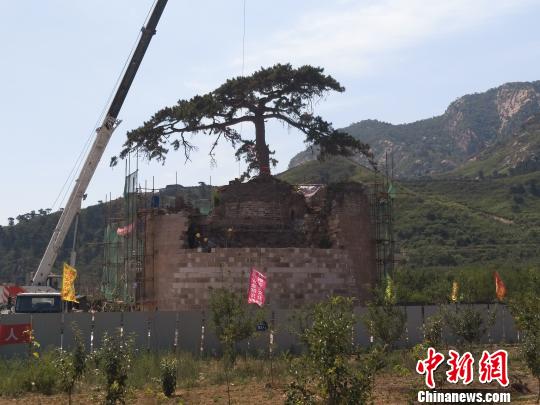 万里长城“孤例”：山海关附近明朝“点将台”修缮|山海关|点将台|王天_新浪新闻