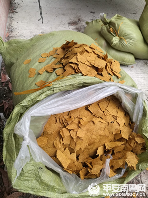 肇庆高要查获制假烟丝烟叶33.5吨 案值250多万