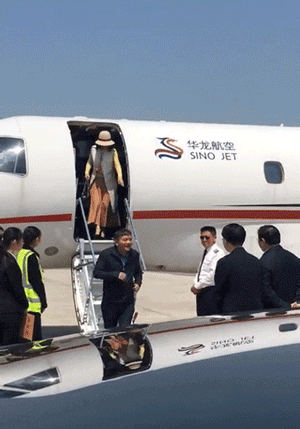 银隆到"九龙"买车,26亿订单透视董小姐&刘强东秘约