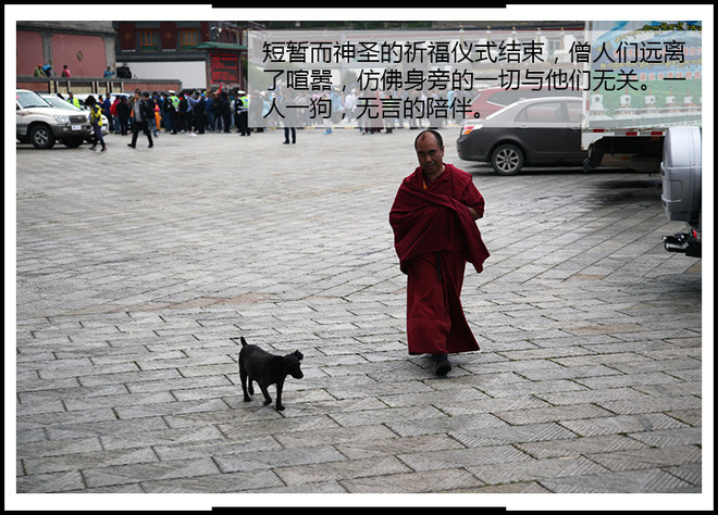 探索大美青海 携手北汽新能源全系车型