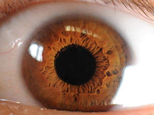 巩膜也就是眼球外围被我们俗称为白眼球的部分,眼睛中心为瞳孔部分