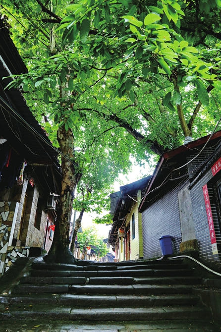 草街子老街 通讯员 刘亚春 供图