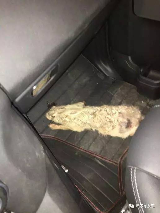 80万的豪车却用来下地收小麦! 路虎为何变成农用车?