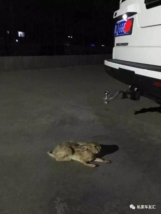 80万的豪车却用来下地收小麦! 路虎为何变成农用车?