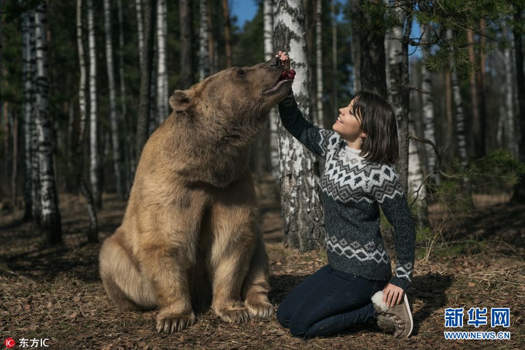 俄女子与巨熊林中嬉戏画面分外和谐组图