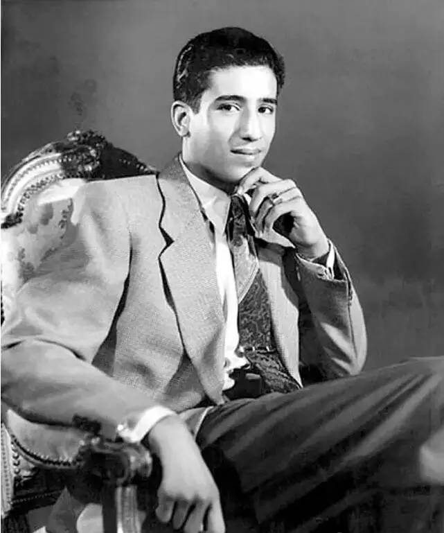 核心政治圈里,多数是苏德里七兄弟和他们的身边人.