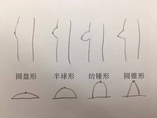 微整形 > 正文    许多看过无码版原图的网友都在夸雪莉身材棒,胸型