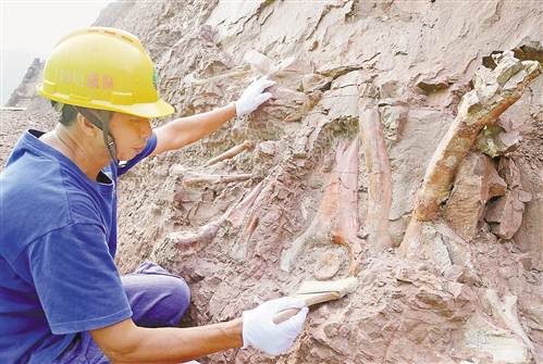 长150米的化石墙堪称世界之最