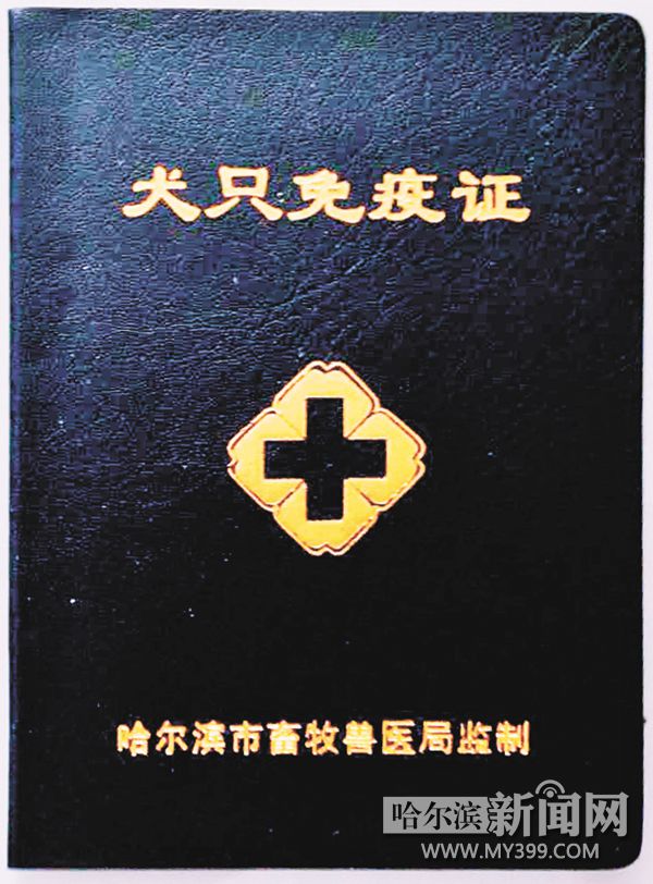 明起免费办犬证设8个办证点 还将免费植入芯片