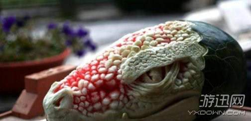 冷知识海豚的丁丁十分灵活长期憋大便对身体不好