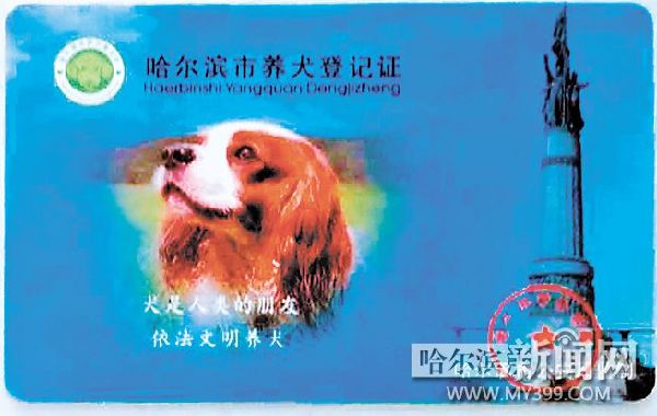 明起免费办犬证设8个办证点 还将免费植入芯片