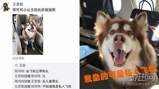 网友们也是纷纷羡慕可可小公主,而在感慨人生的同时,也不忘再调戏一番