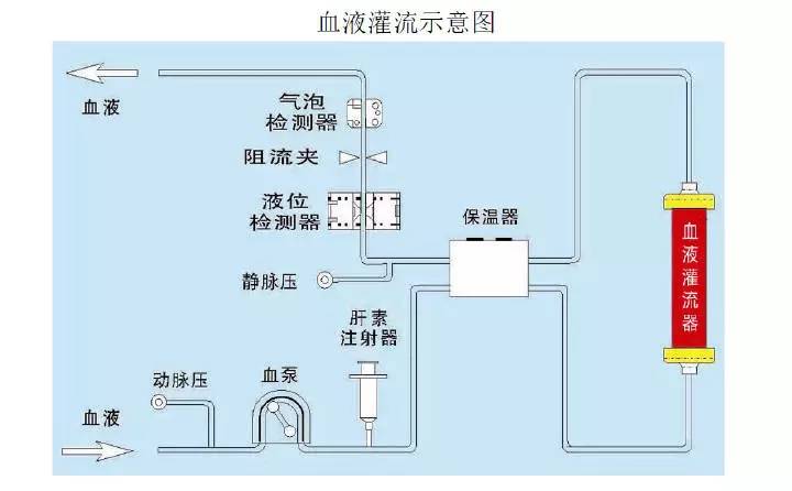次新研究院健帆生物国内血液净化产品领跑者