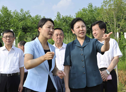 7月4日至5日,省委常委,省纪委书记贺荣深入省委安排的她的深度脱贫