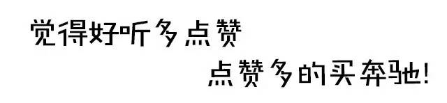 没有这品牌，可能连车你都开不上！