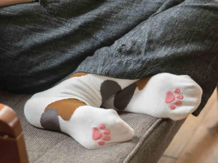 猫咪肉垫袜子
