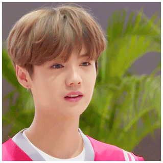 霸屏的小鲜肉,说完freestyle的吴亦凡,就要说下wuli傻狍子鹿晗了,从