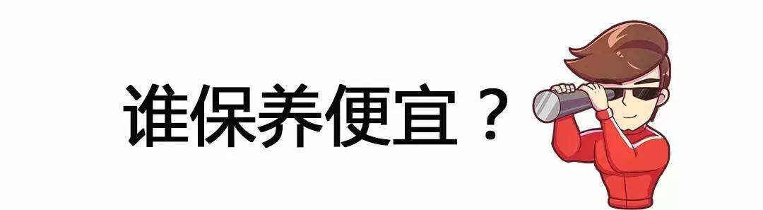 养一台大SUV会很贵？这两款可不一定！