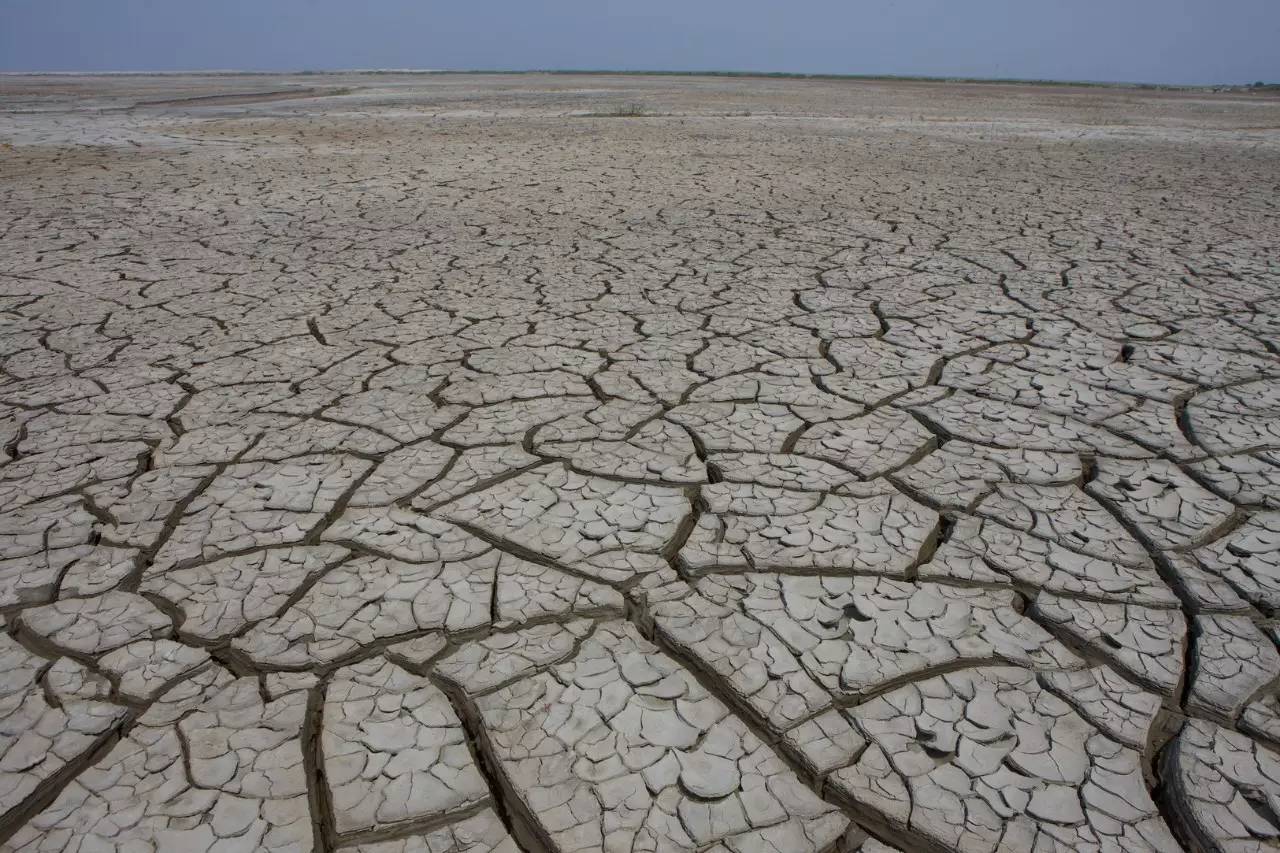 定西孩子檀生活