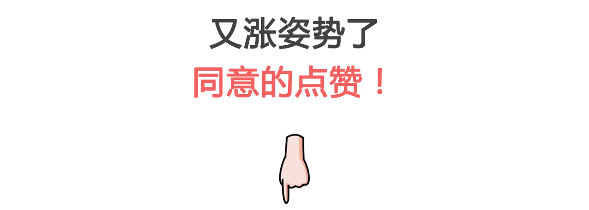 【实测】都说日系车减配省料不安全，真的是这样吗？