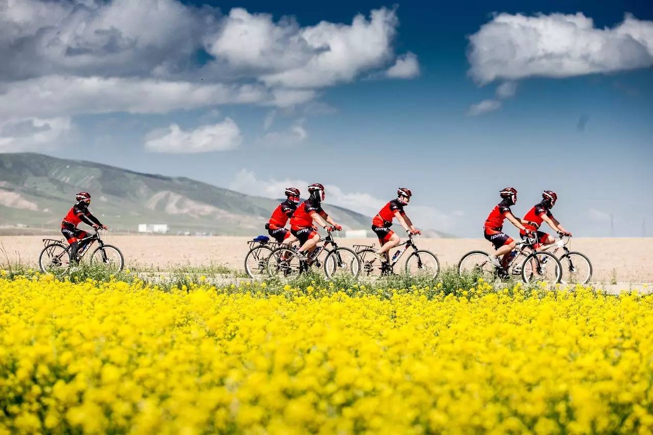 海拔3000米青海湖亮剑，奥迪能否上演王者归来？